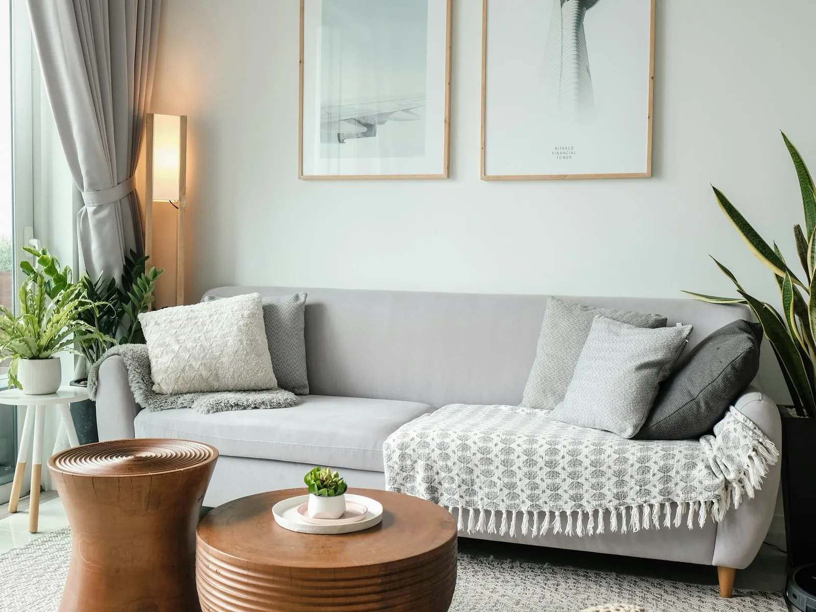 Intérieur calme, lumière naturelle et plantes — cadre de téléconsultation